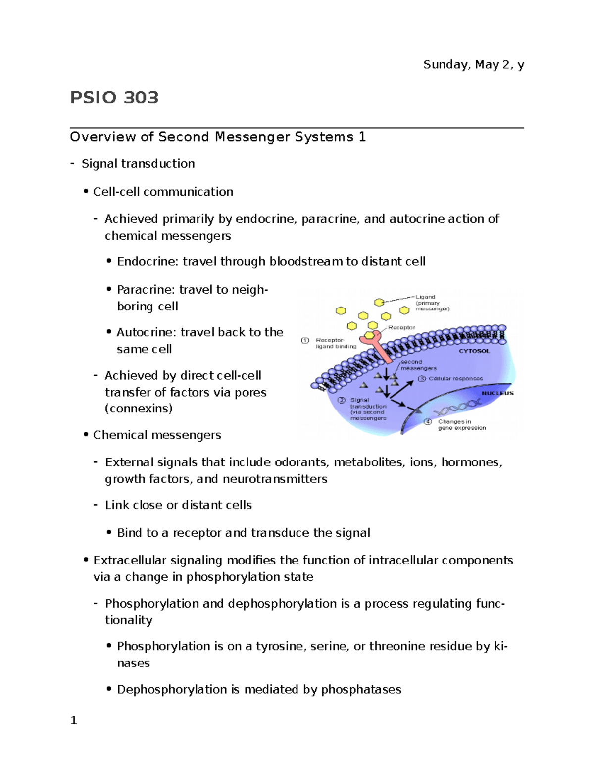 Lecture 29 Overview of Second Messenger Systems 1 Wednesday, August