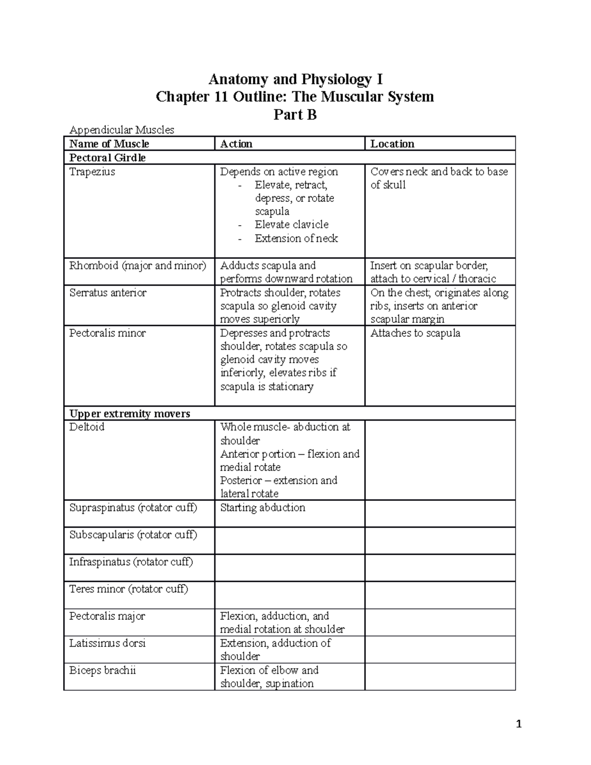 Ch 11b - Notes - Anatomy And Physiology I Chapter 11 Outline: The ...