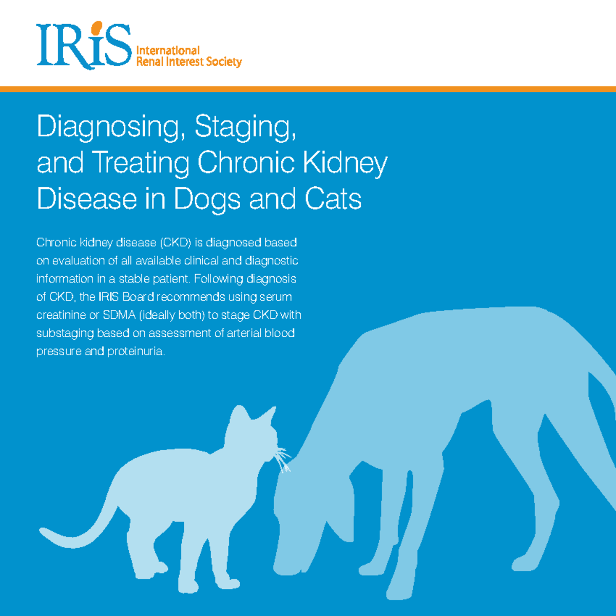 IRIS Pocket Guide to CKD Chronic kidney disease (CKD) is diagnosed