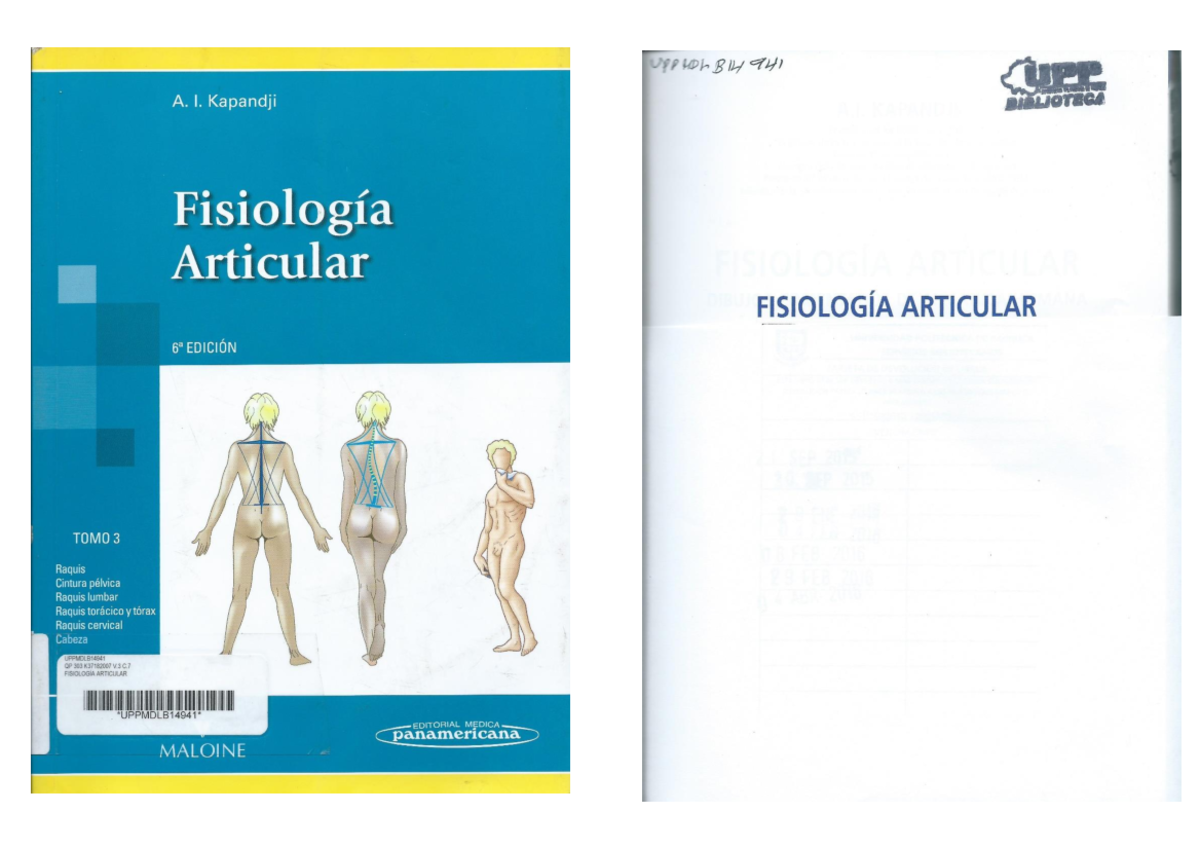 Fisiologia Articular Kapandji Pdf Tomo 3