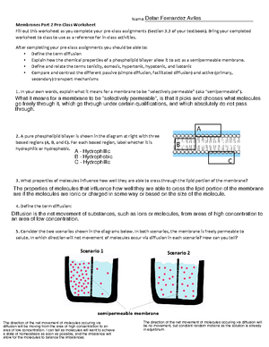 Week+4a+Cellular+Respiration+2+Reading+Guide - Name