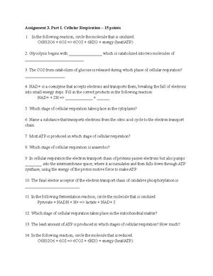 Chem 2 Lab Exp 10 Flow Chart - Jasmine Joseph 11. General Chemistry II ...