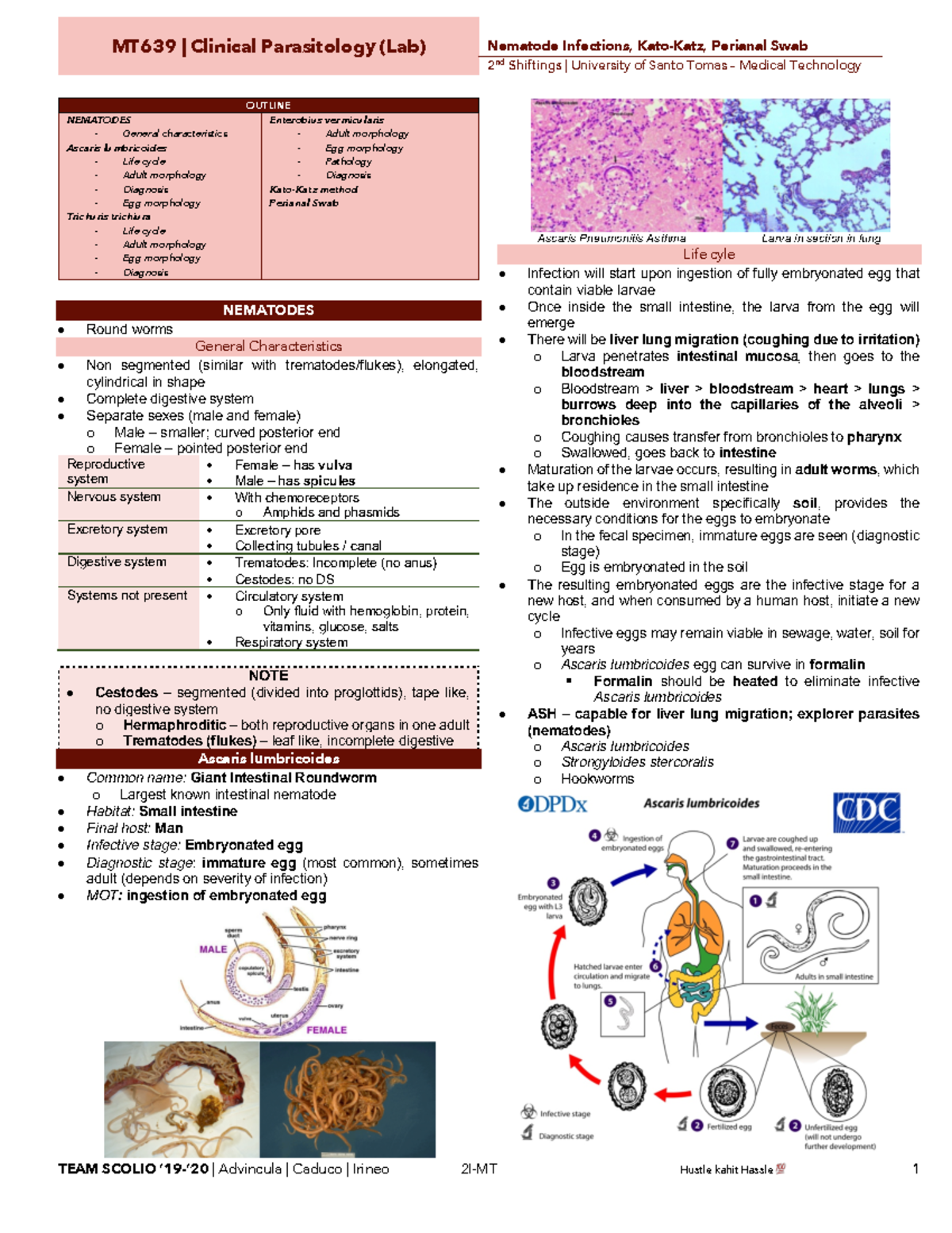 Parasitology - Nematodes - Laboratory - 2 nd Shiftings | University of ...