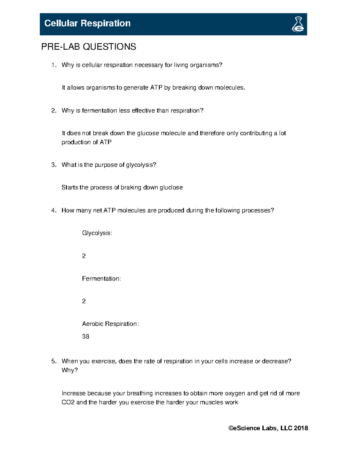 IB 1201 L06 Respiration - ©eScience Labs, LLC 2018 Cellular Respiration ...