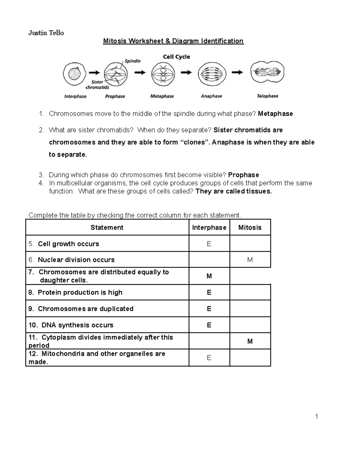 copy-of-mitosis-worksheet-2-justin-tello-mitosis-worksheet-diagram