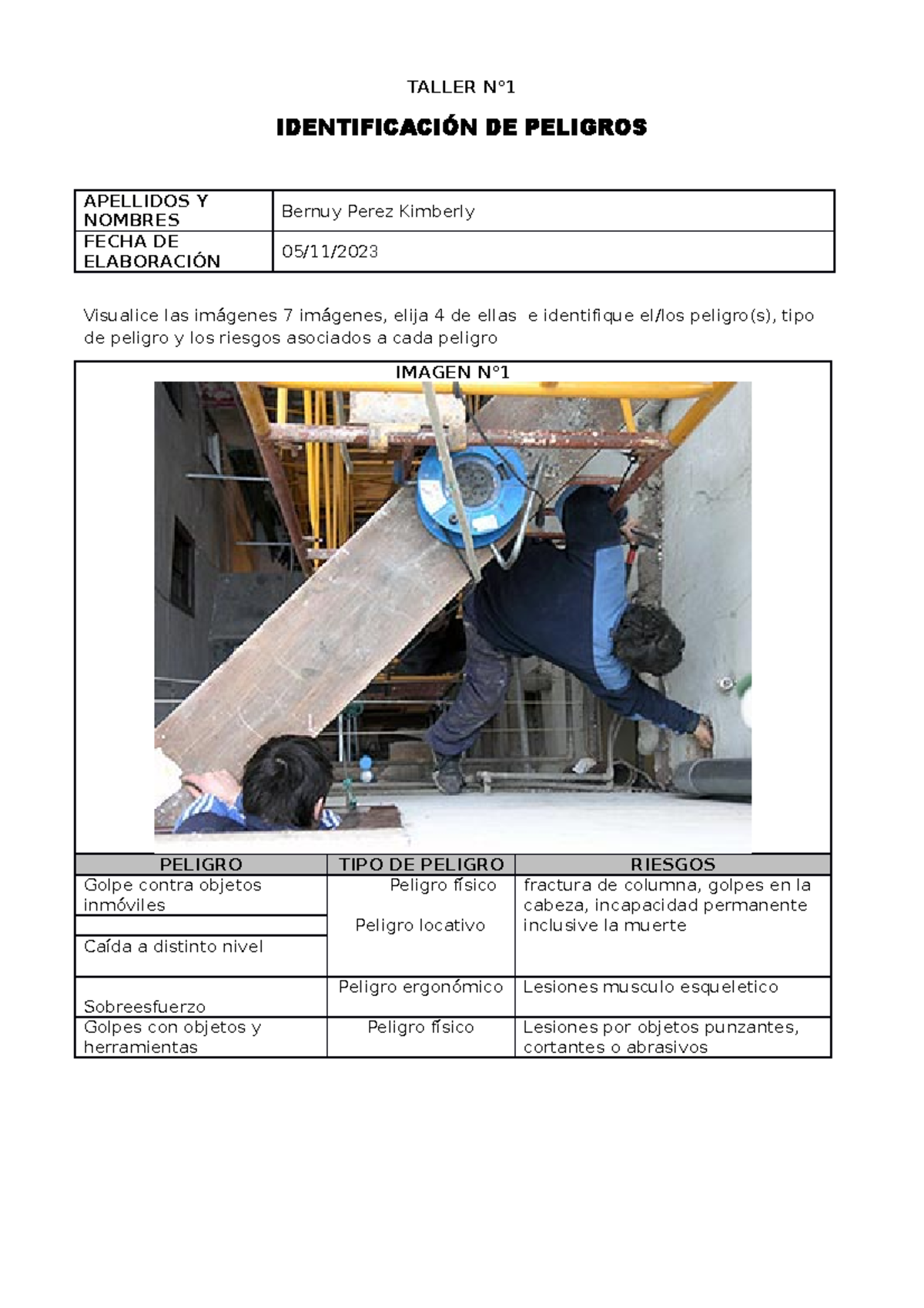 IdentificaciÓn De Peligros - TALLER N° IDENTIFICACIÓN DE PELIGROS ...
