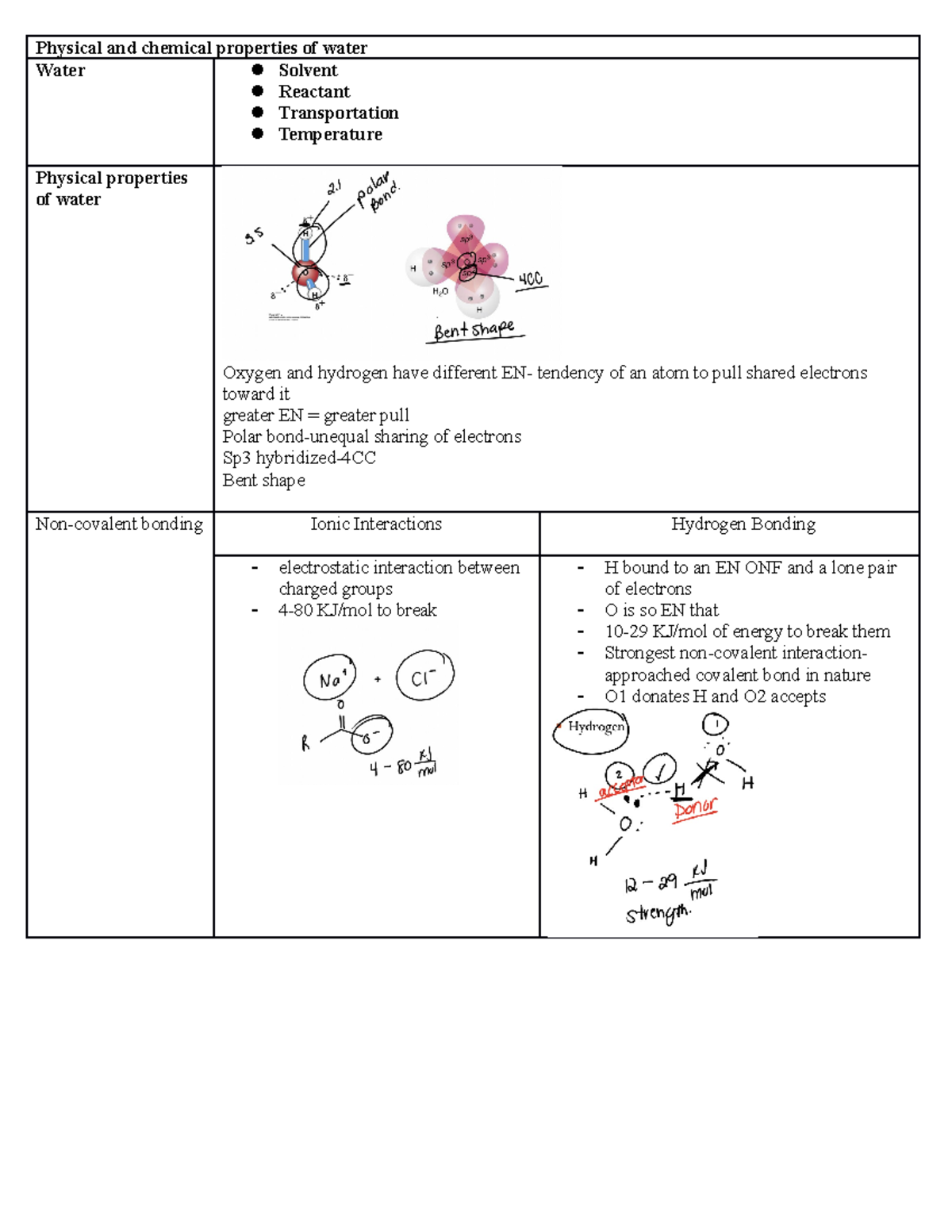 biochemistry-notes-pt-2-physical-and-chemical-properties-of-water