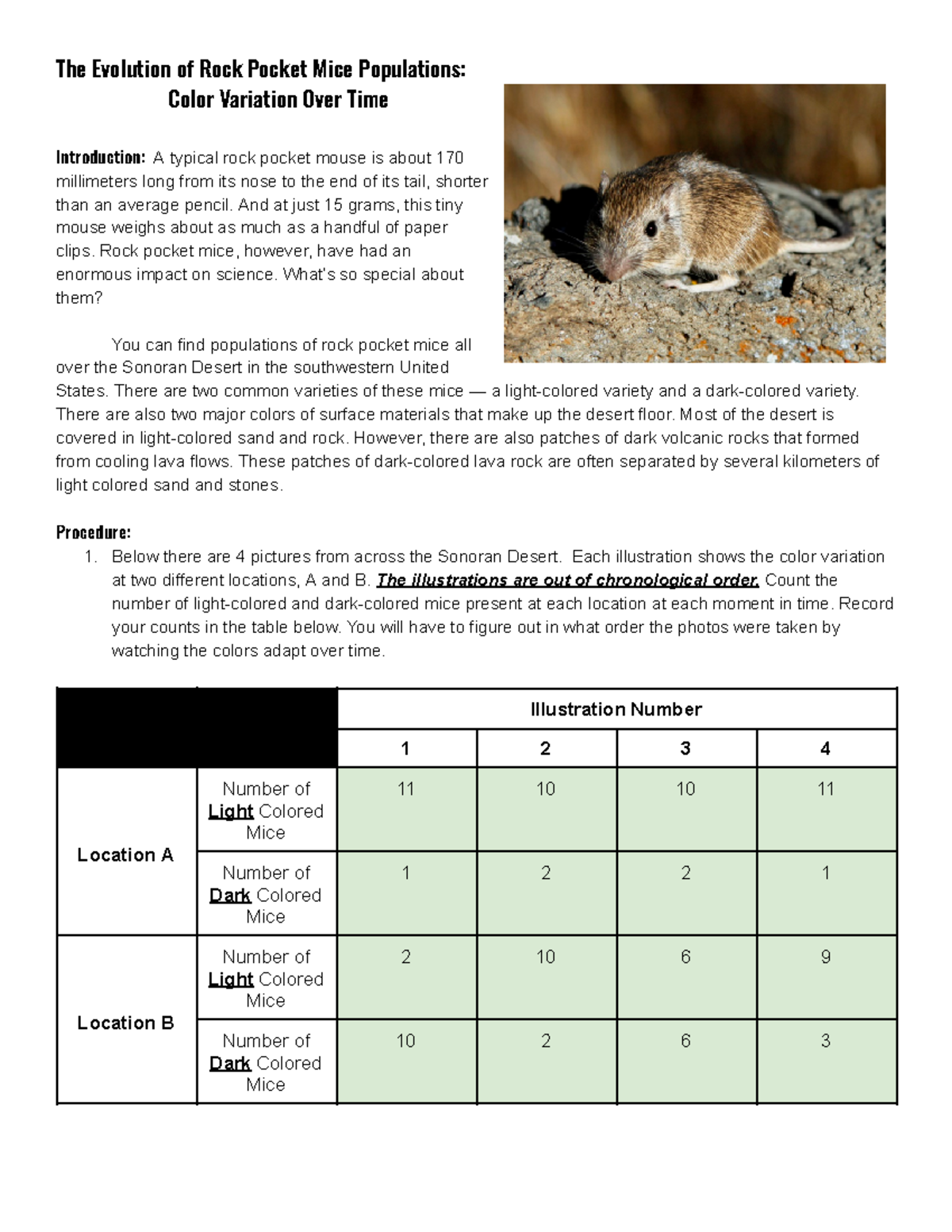 Rock Pocket Mice (Natural selection) - 14405554 - The Evolution of Rock ...