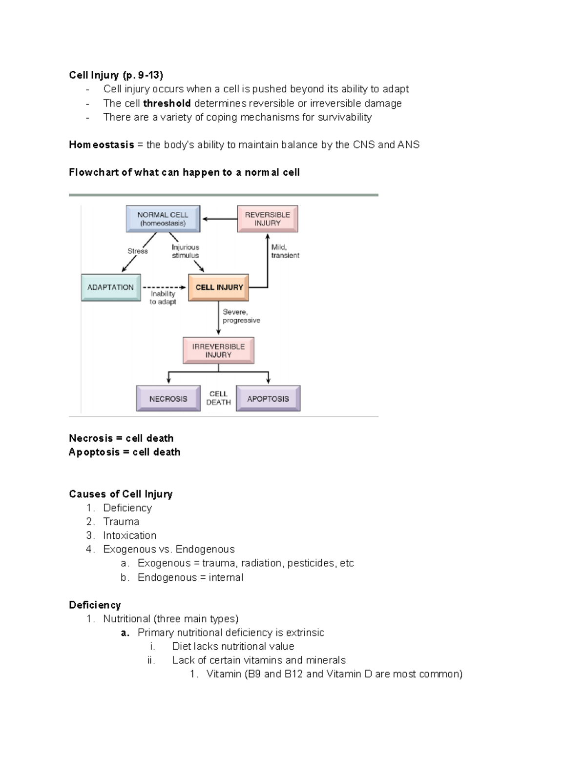 Unit 2 - HSC 201 Notes - Cell Injury (p. 9-13) - Cell injury occurs ...