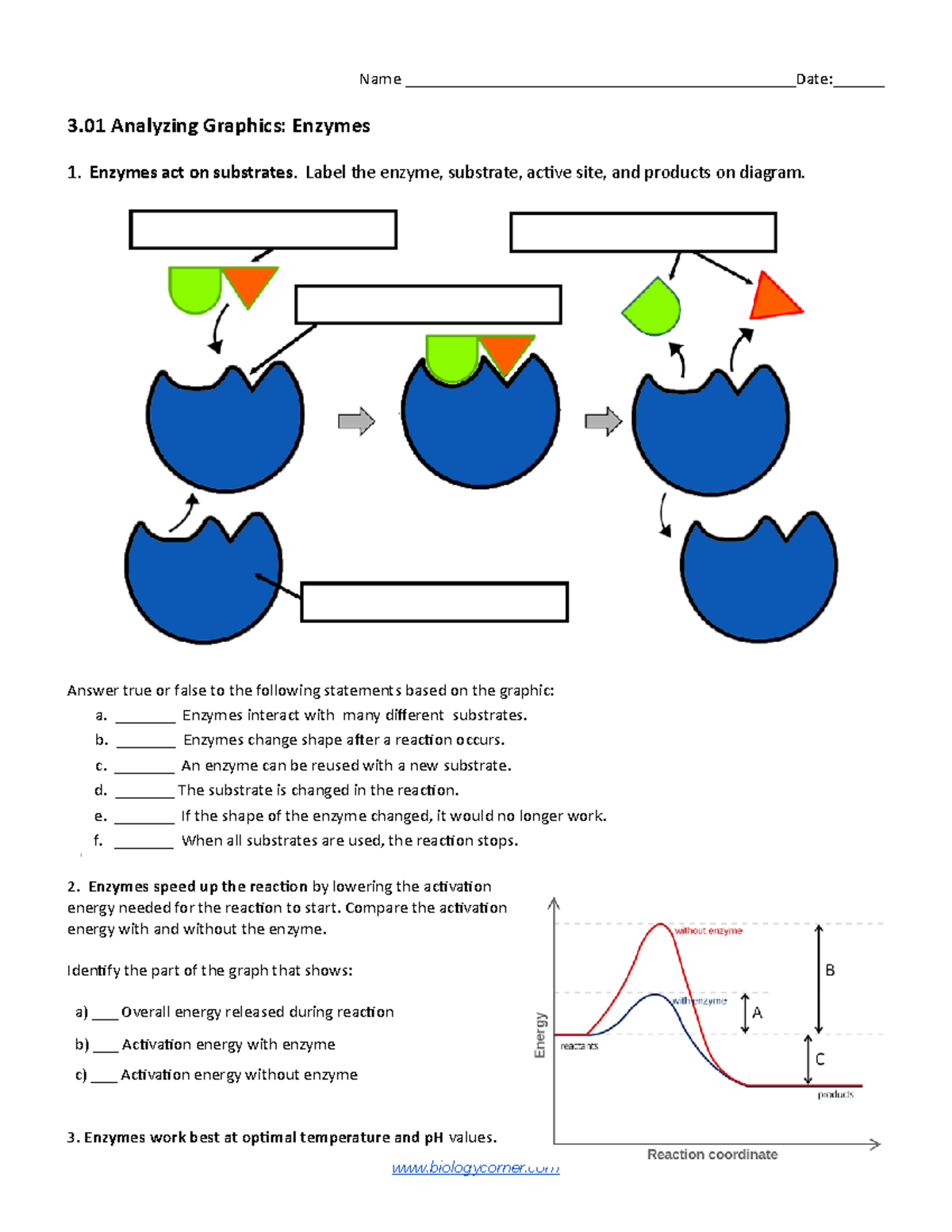 3.01 Analyzing Graphics Enzymes - Name : 3 Analyzing - Studocu