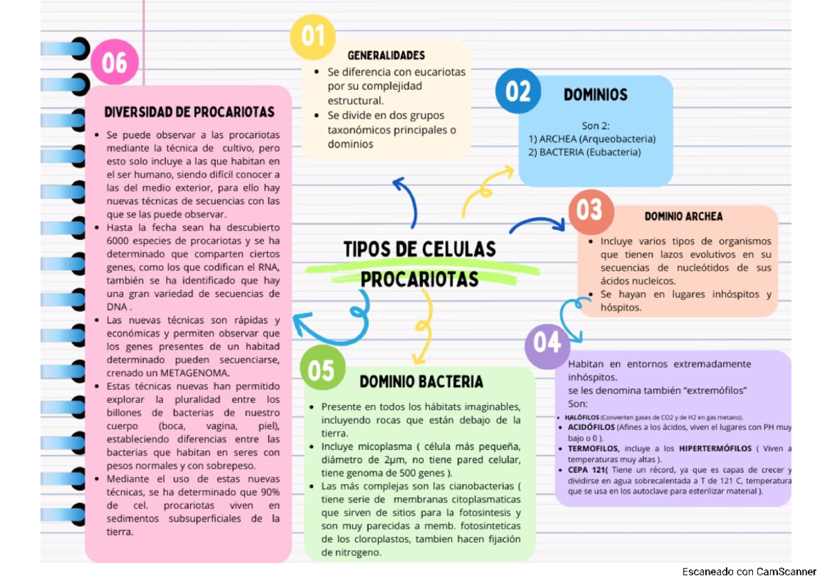 TIpos de Cél. Procariotas - Biología Molecular - Studocu