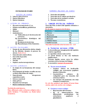 dolor sordo en los ovarios dolor sordo en los ovarios