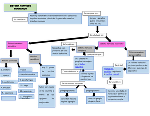 Mapa conceptual SNP - SNC y SNP - CV Nervios y ganglios que se encuentran  fuera del SNC Se compone - Studocu