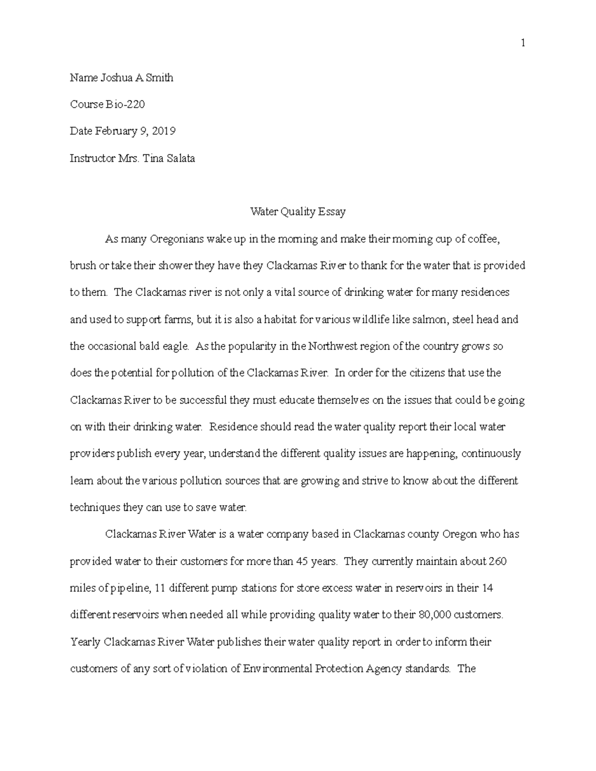 water quality essay