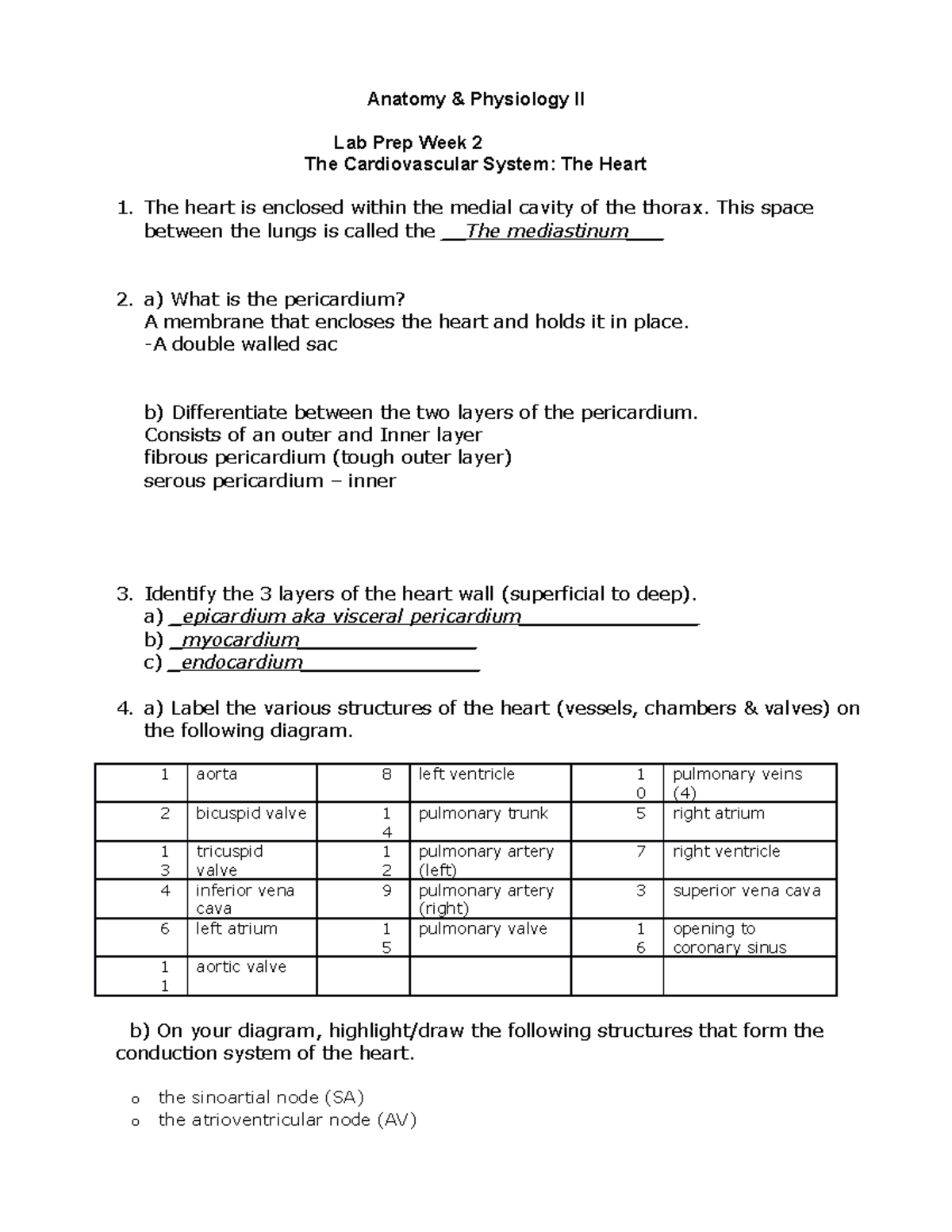 Lab Prep- Heart wk 1 - Anatomy & Physiology II Lab Prep Week 2 The ...