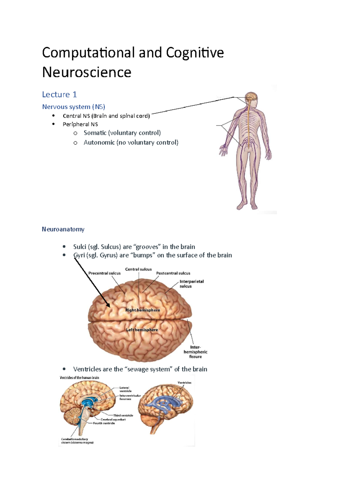 Lecture 1 - Filip Rehburg - Computational and Cognitive Neuroscience ...