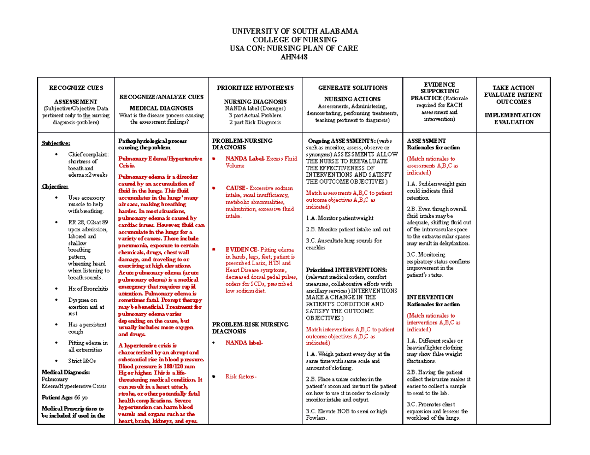 Excess Fluid Volume careplan - RECOGNIZE CUES ASSESSEMENT (Subjective ...