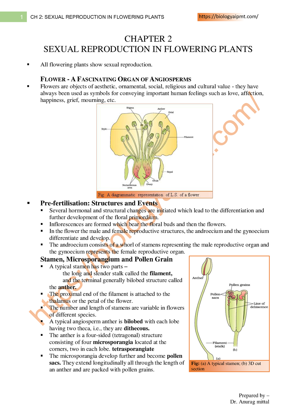 Ch 02 sexual reproduction in flowering plants - Prepared by – 1 CH 2 ...