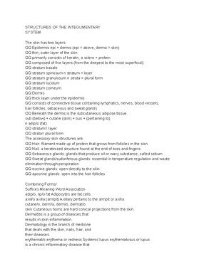 Assignment #3 Rhetorical Analysis Essay - “The Ugly Tourist” Rhetorical ...