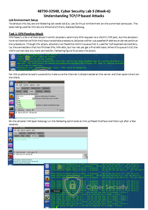 Cybersecurity Lab 1 - The Lab. - Cybersecurity Lab – 1: Week 2 ...