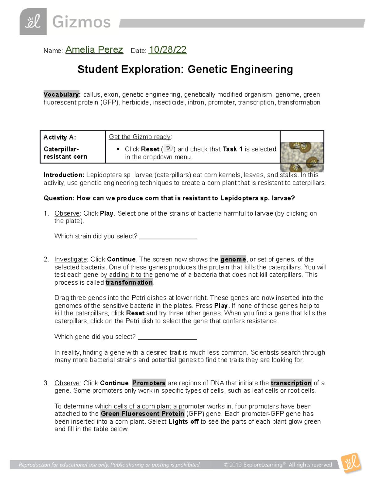 Genetic Engineering Student lab sheet 22-23 - Name: Amelia Perez Date ...