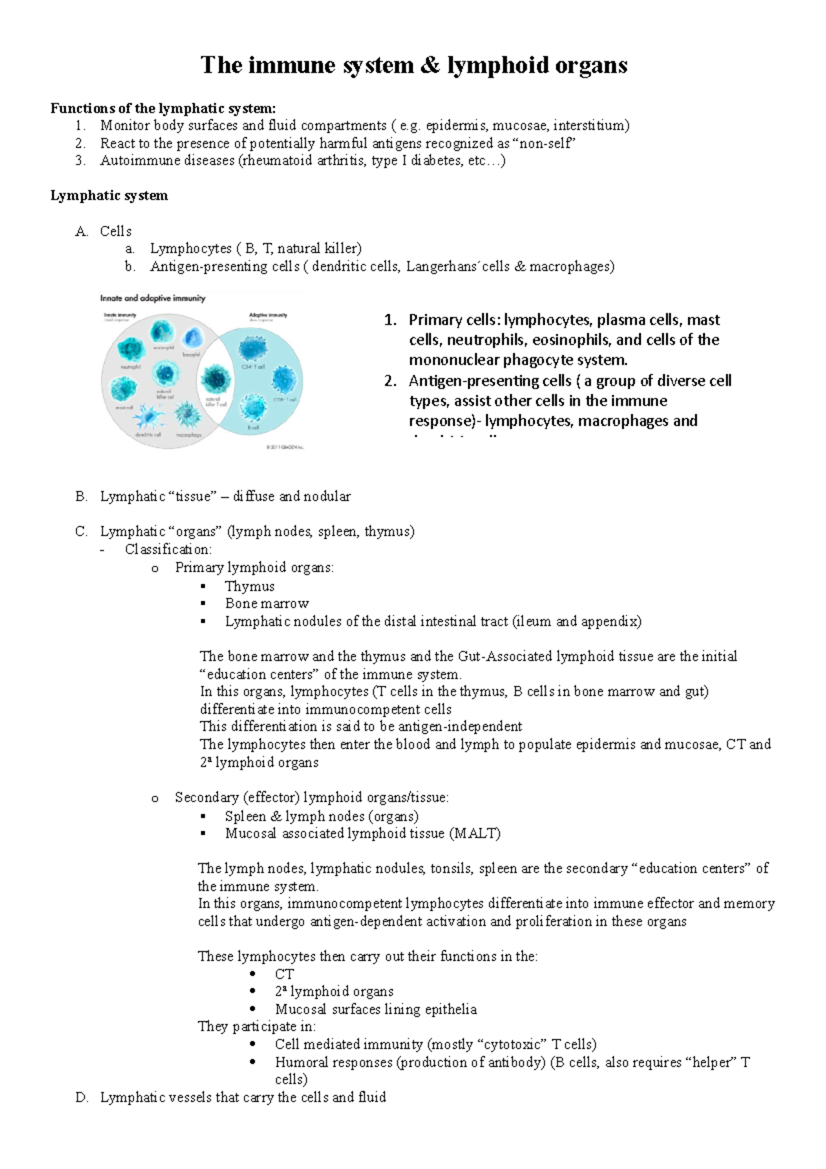 THE Immune System - The immune system & lymphoid organs Functions of ...