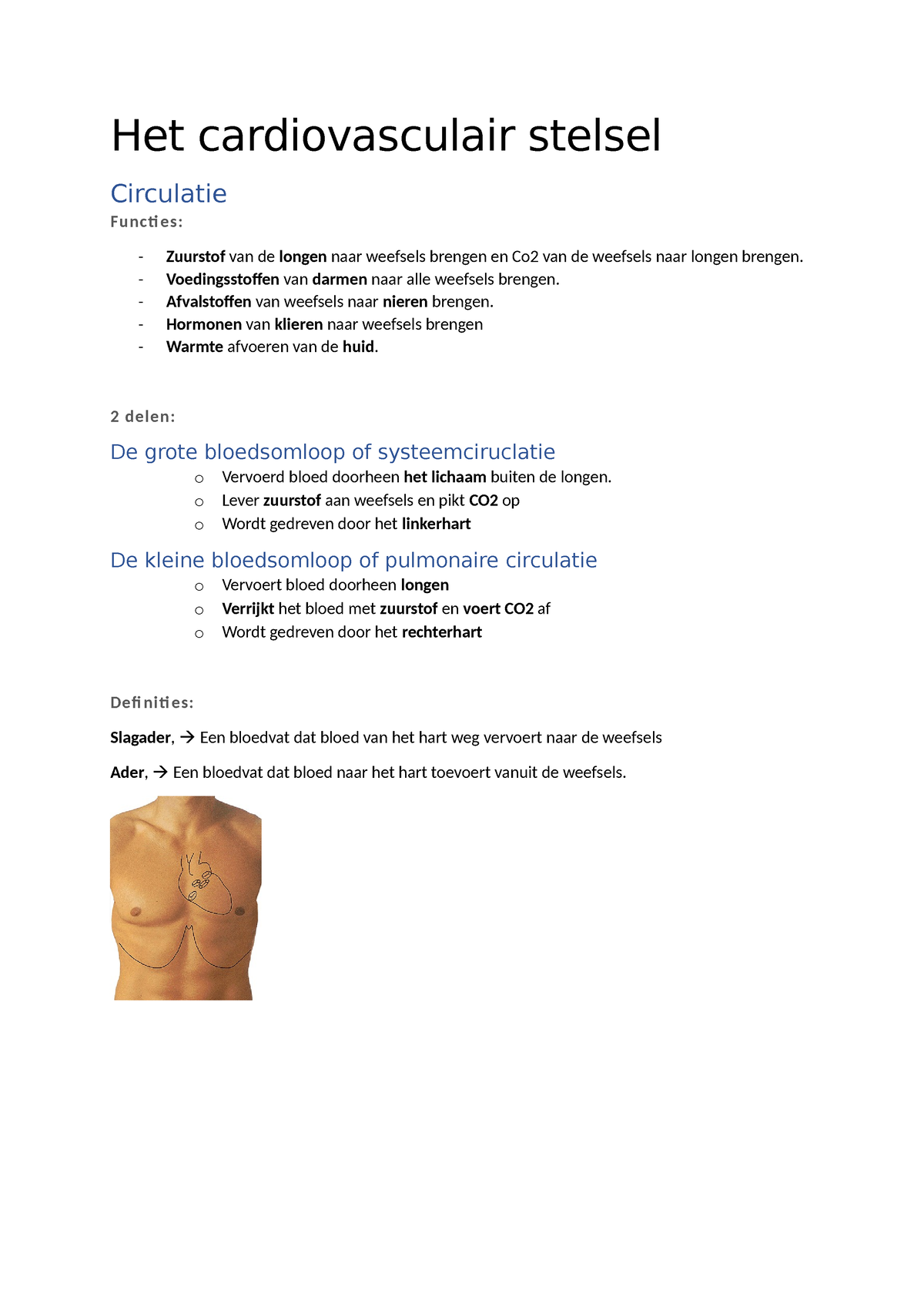 Het Cardiovasculair Stelsel - Het Cardiovasculair Stelsel Circulatie ...