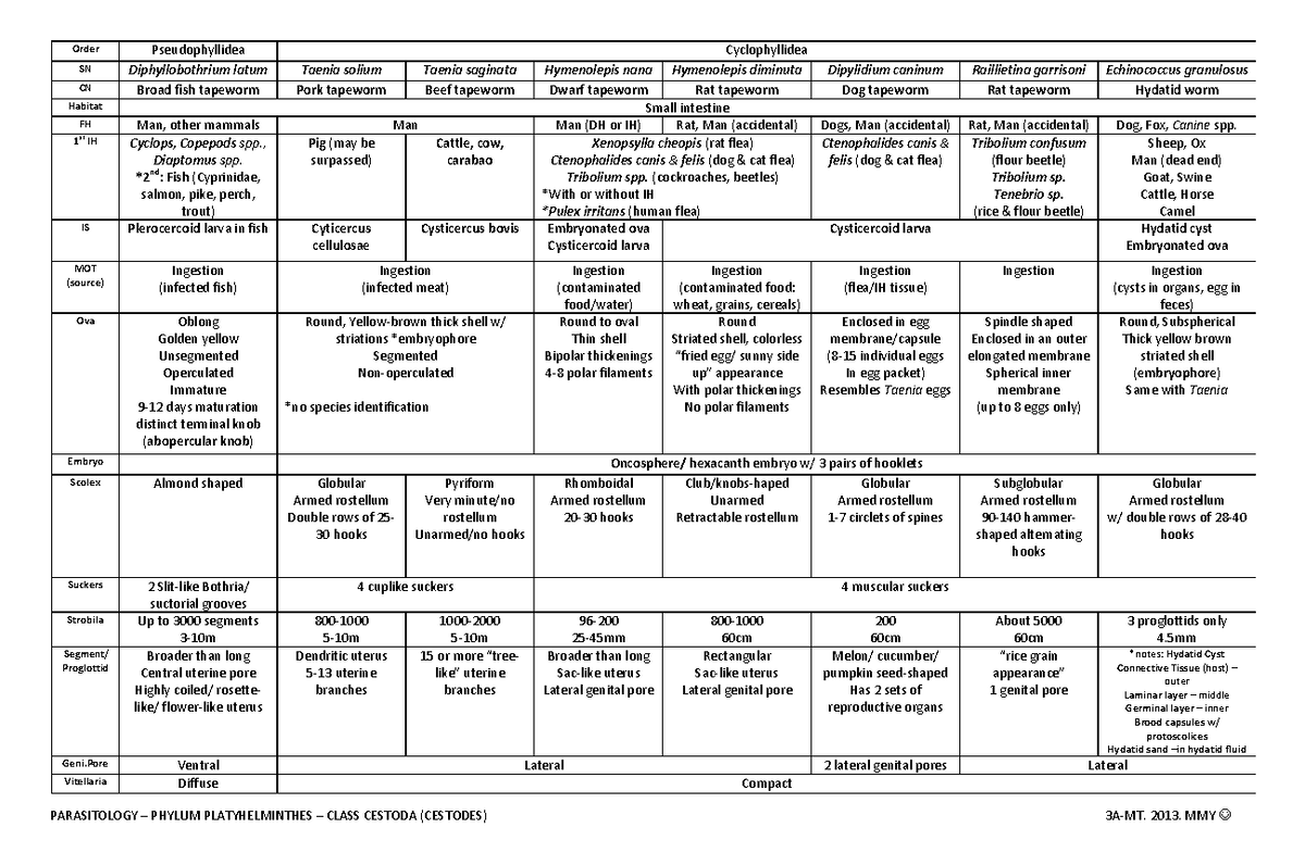 CESTODES - CLINICAL PARASITOLOGY - PARASITOLOGY – PHYLUM ...