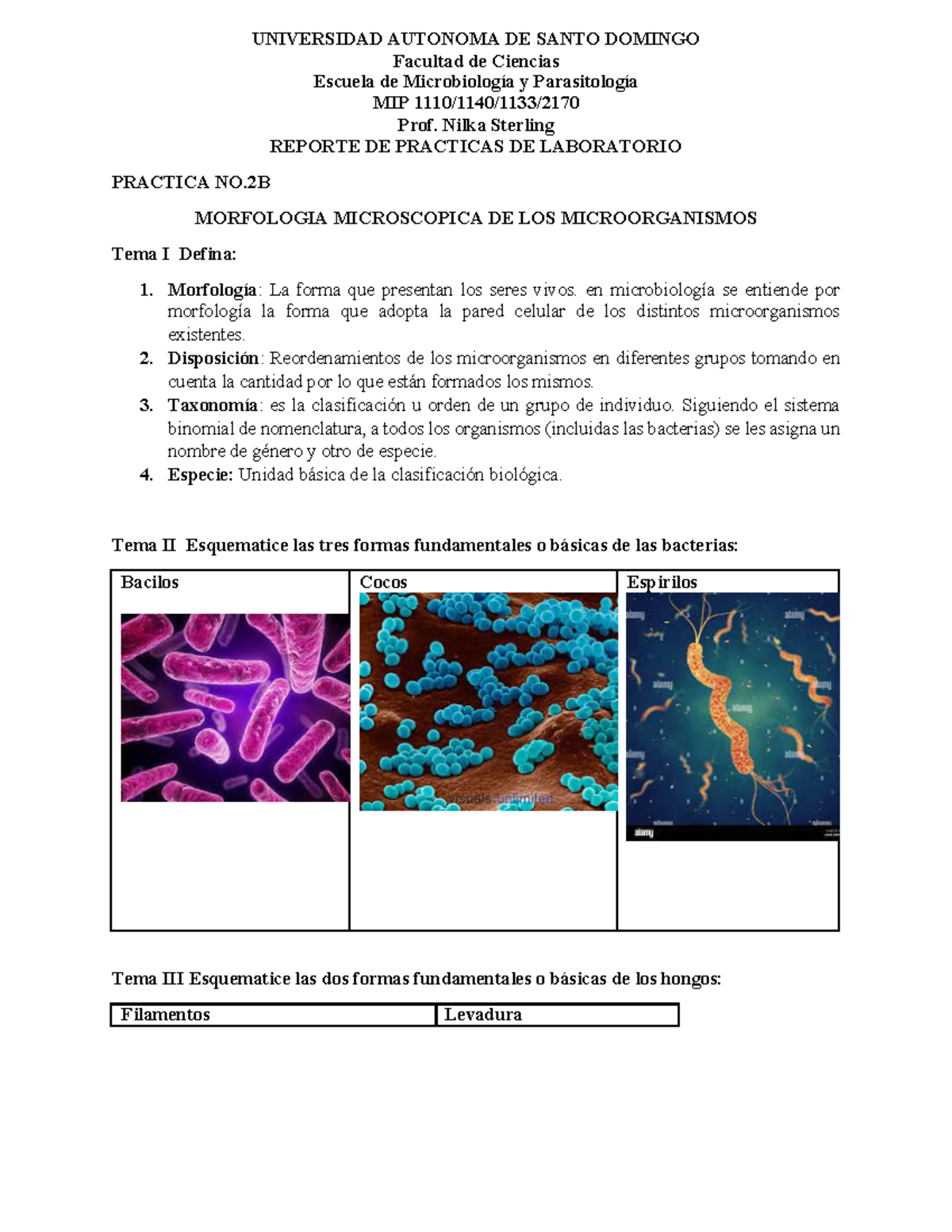 Practica NO.2B (1) Lab - Práctica - UNIVERSIDAD AUTONOMA DE SANTO ...