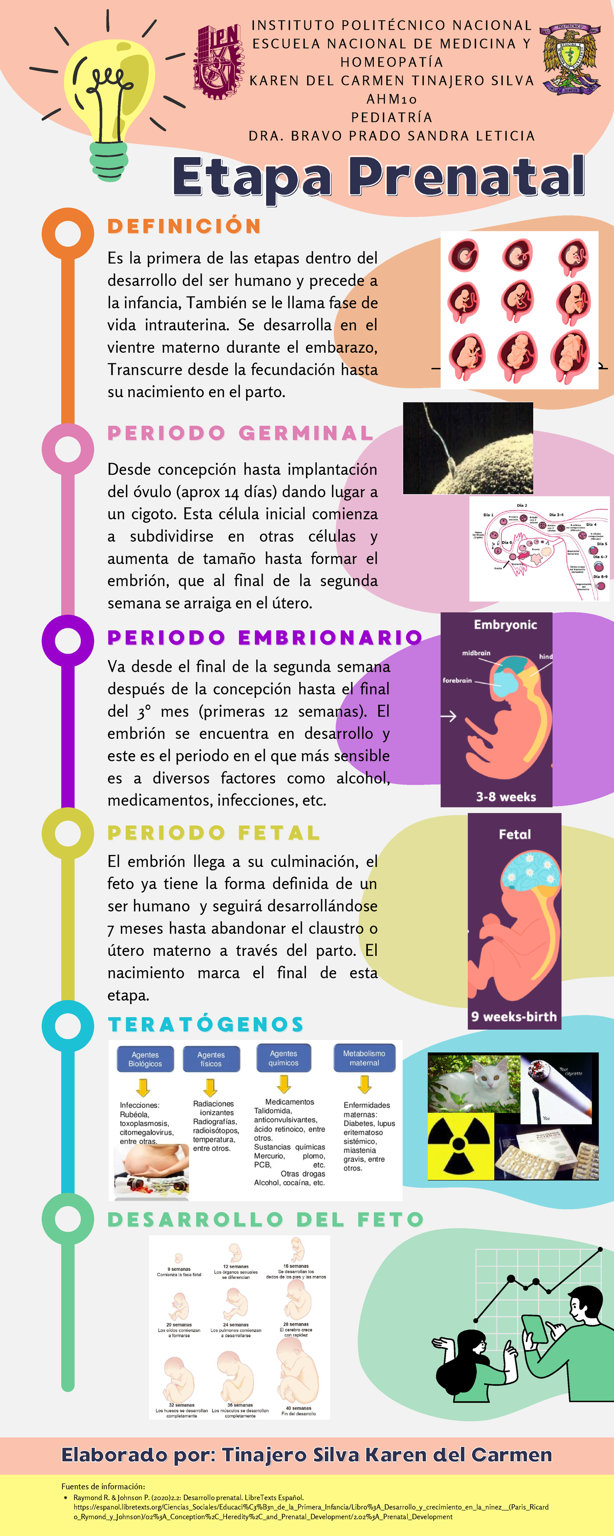 Infografia Etapa Prenatal Tinajero Silva Karen Del Carmen Etapa Prenataletapa Prenatal D E F