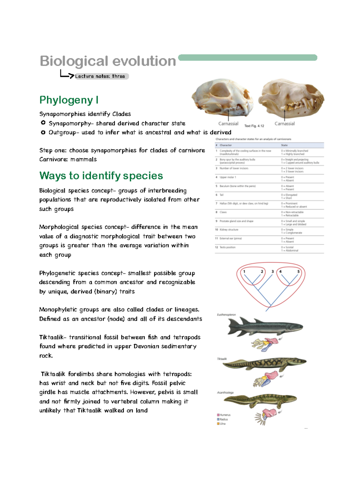 Evolution 3 - Notes - Biological evolution Lecture notes: three ...