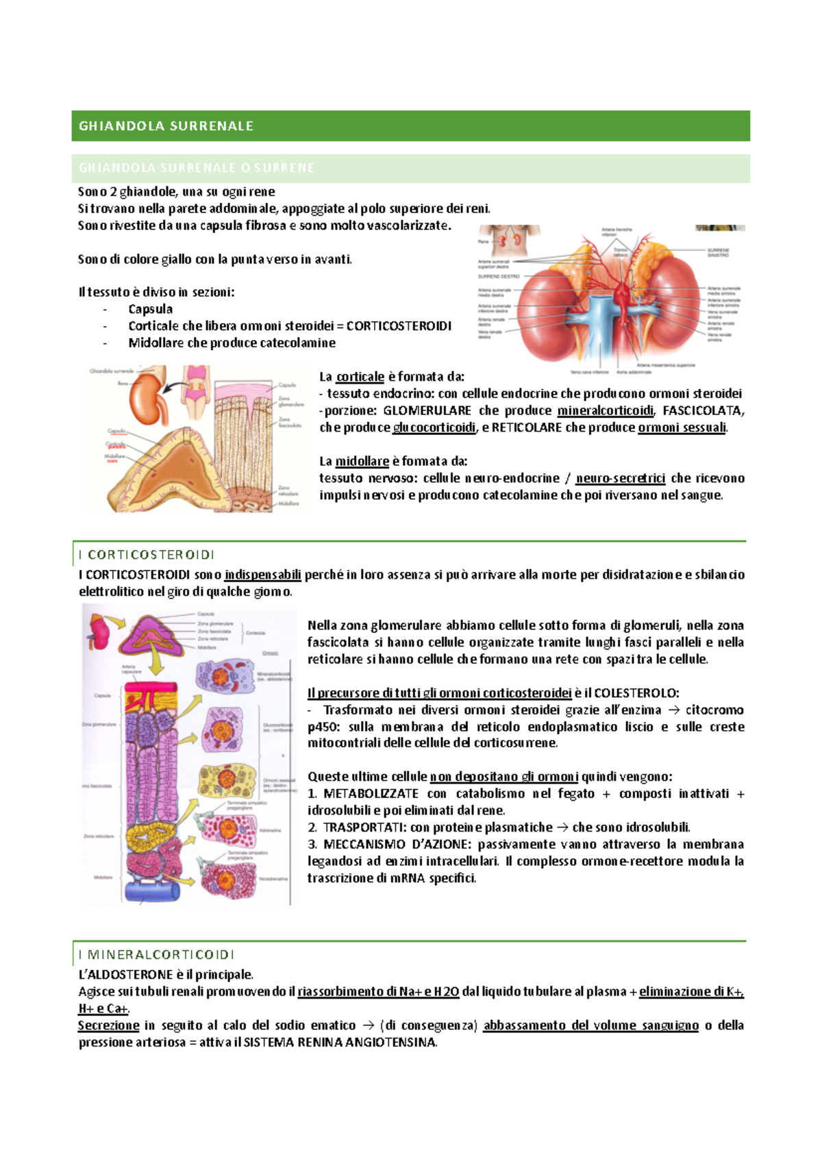Ghiandola Per Cavi Impermeabili - Connettore A Filo Multiuso, Kit - Foto 9