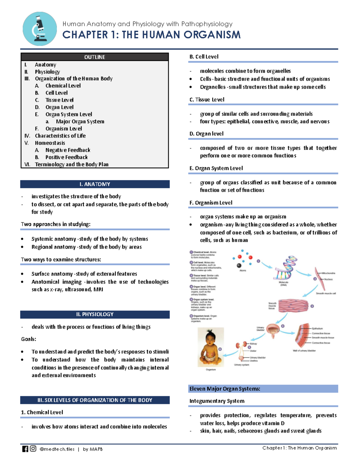 Anaphy TERM 1 Reviewer - Human Anatomy and Physiology with ...