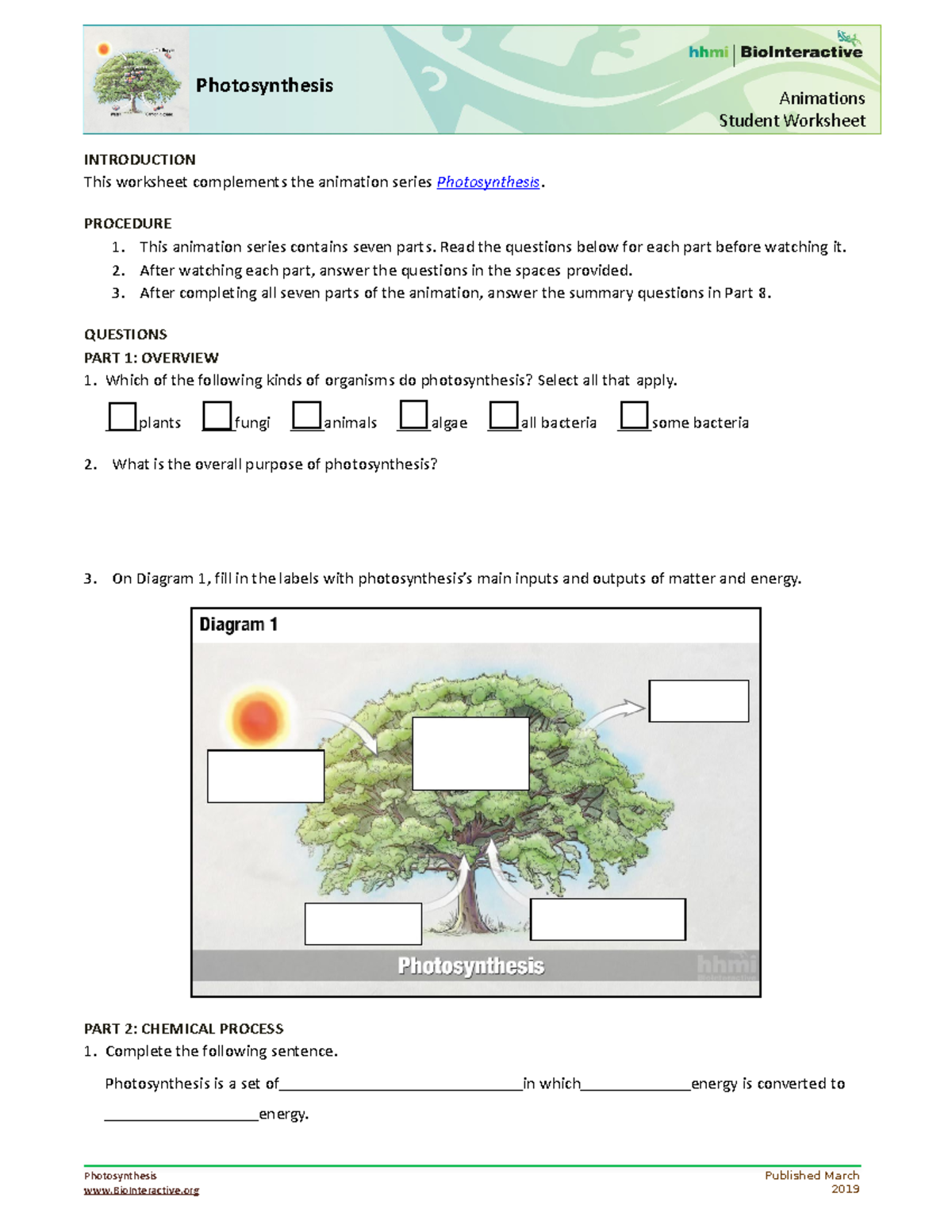 Photosynthesis worksheet Photosynthesis BioInteractive Published Photosynthesis worksheet Photosynthesis BioInteractive Published
