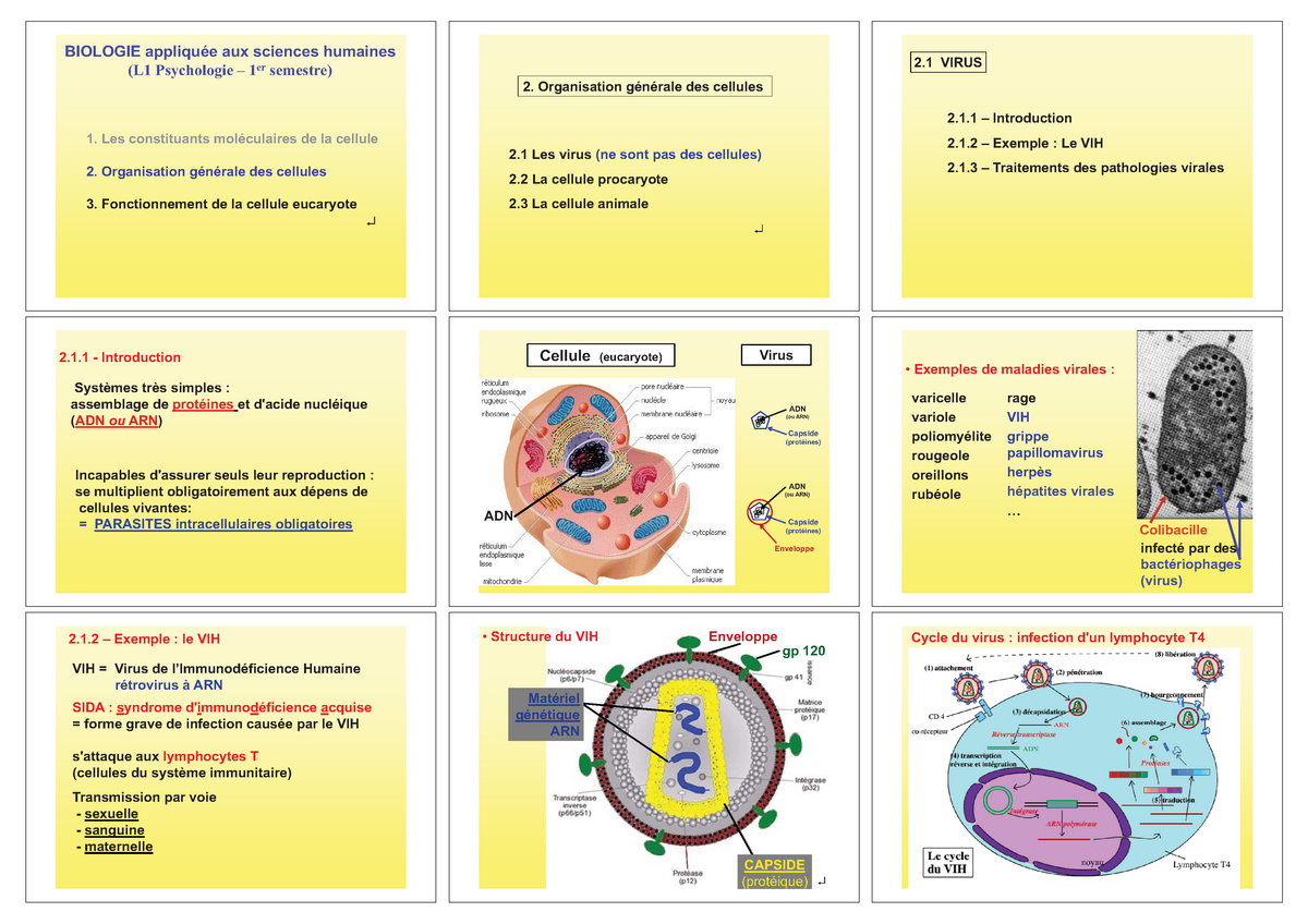 Organisation Générale Des Cellules - BIOLOGIE Appliquée Aux Sciences ...