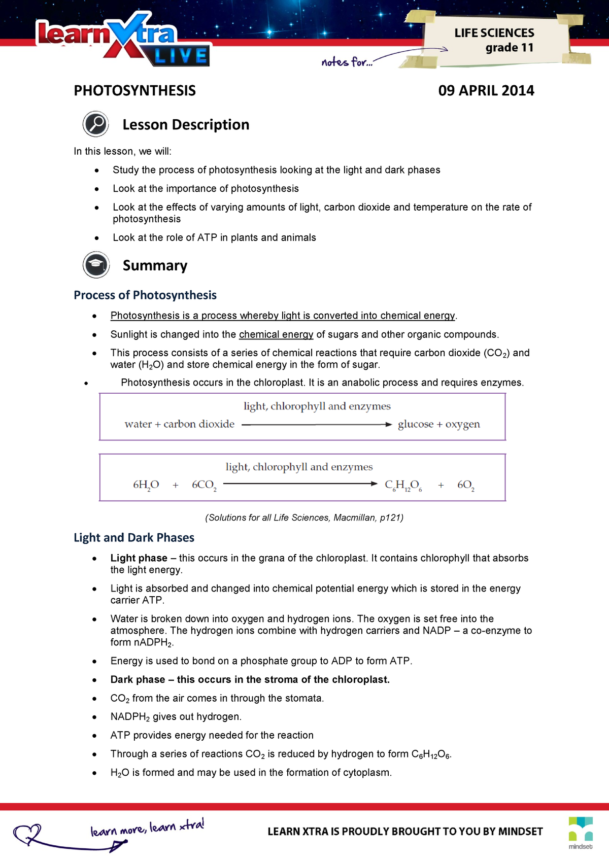 life science grade 11 assignment photosynthesis