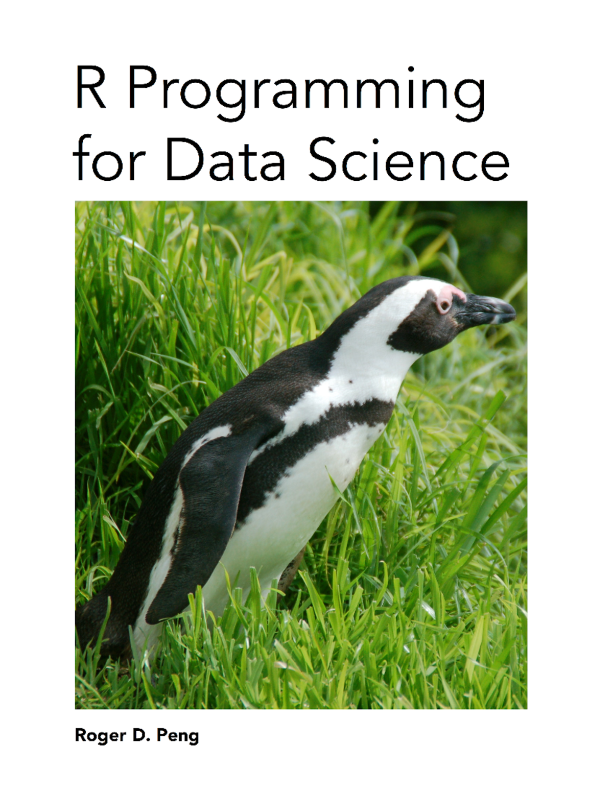 R Programming For Data Science 1727636342 - R Programming for Data ...