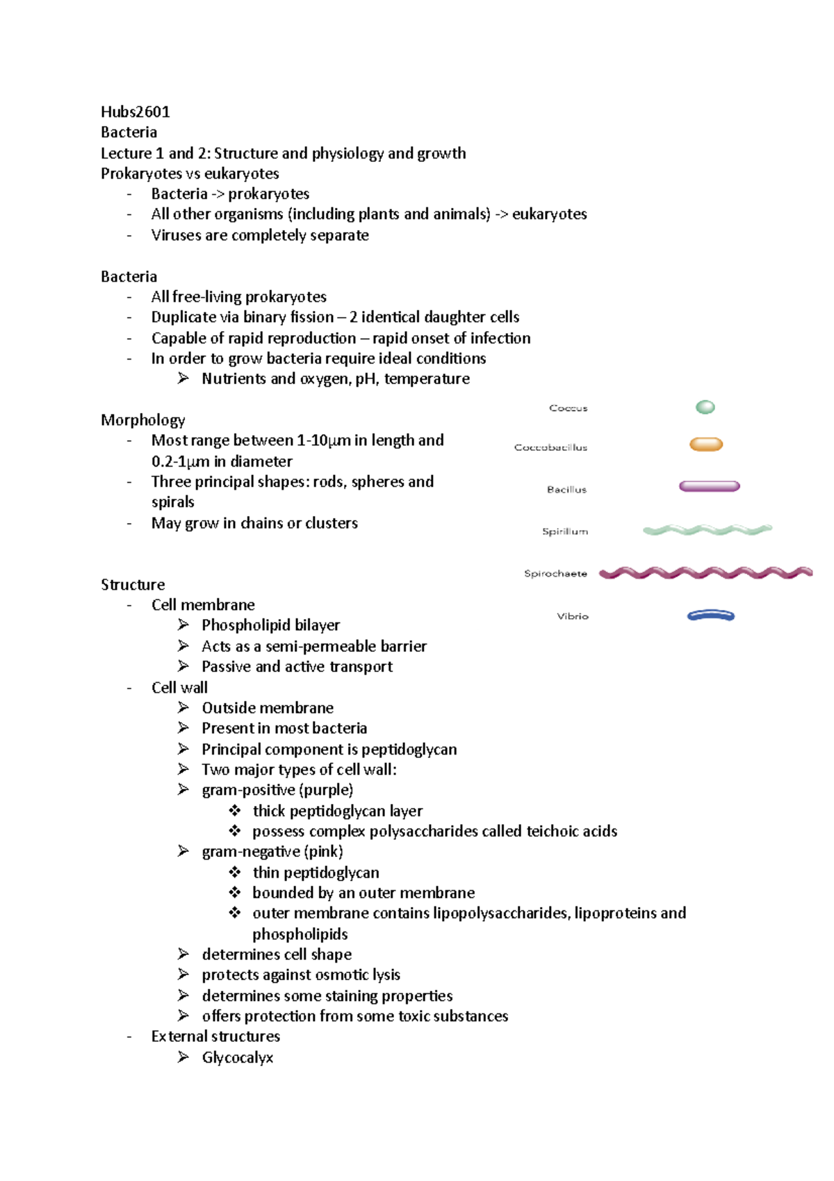 Hubs2601 - Lecture Notes - Hubs Bacteria Lecture 1 And 2: Structure And ...