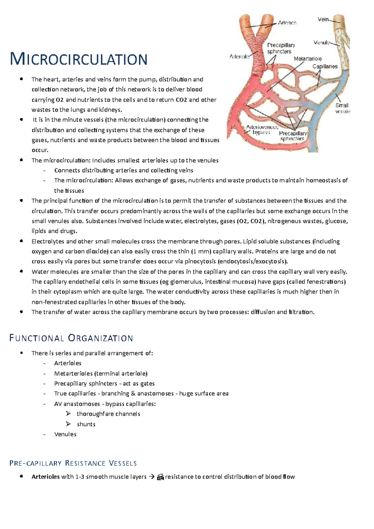 Lecture 25- Microcirculation - MICROCIRCULATION The heart, arteries and ...