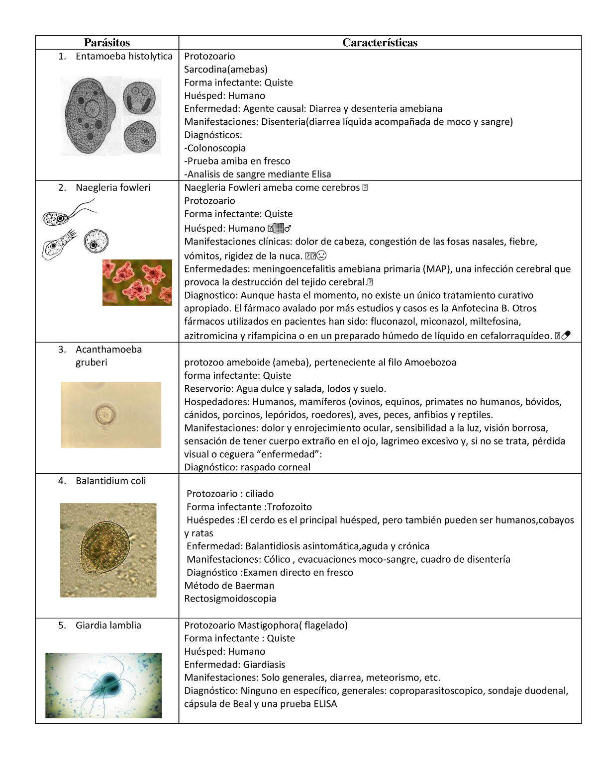 Parasitos Par Sitos Caracter Sticas Entamoeba Histolytica Protozoario Sarcodina Amebas