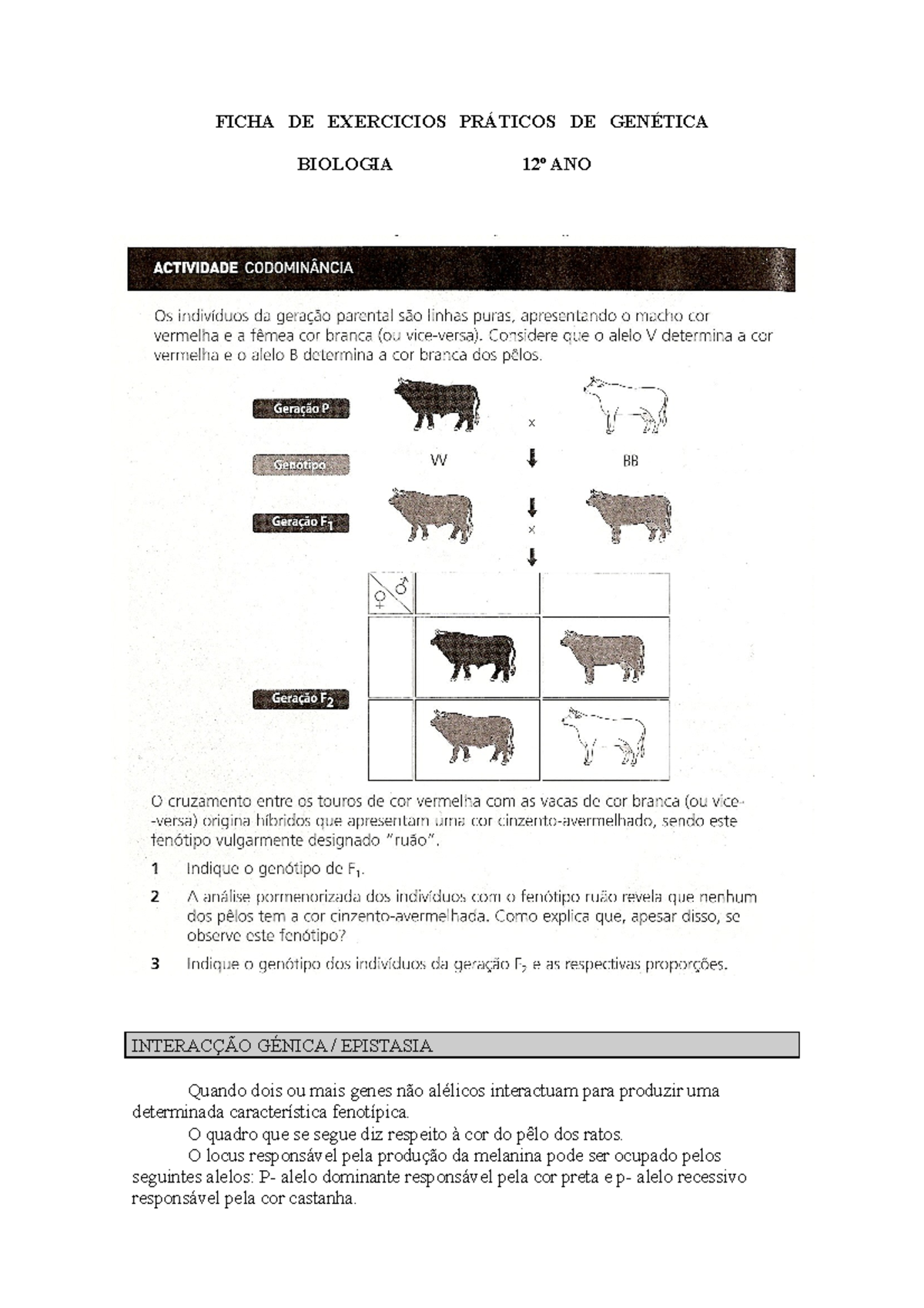 Ficha Genética - FICHA DE EXERCICIOS PRÁTICOS DE GENÉTICA BIOLOGIA 12º ...