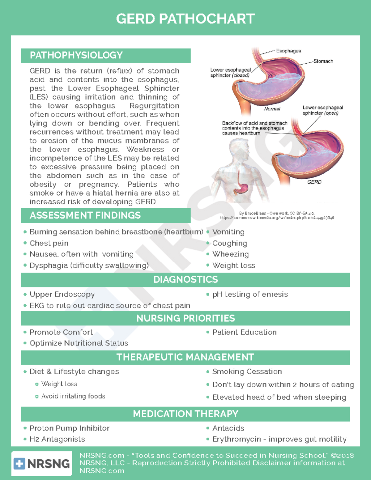 2- GERD Pathochart - n/a - NRSNG - “Tools and Confidence to Succeed in ...