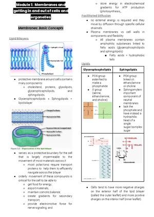 Experiment 2 Procedure - As mentioned in previous experiments on ...