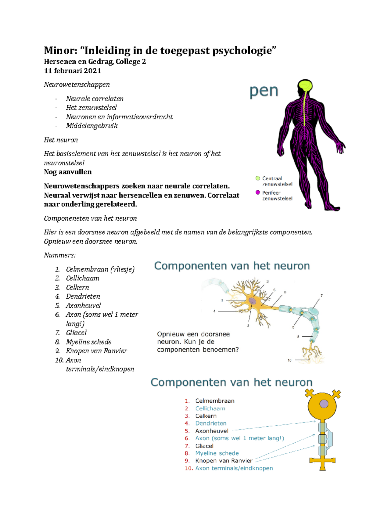 Hersenen En Gedrag College Over Neurowetenschappen - Minor: “Inleiding ...