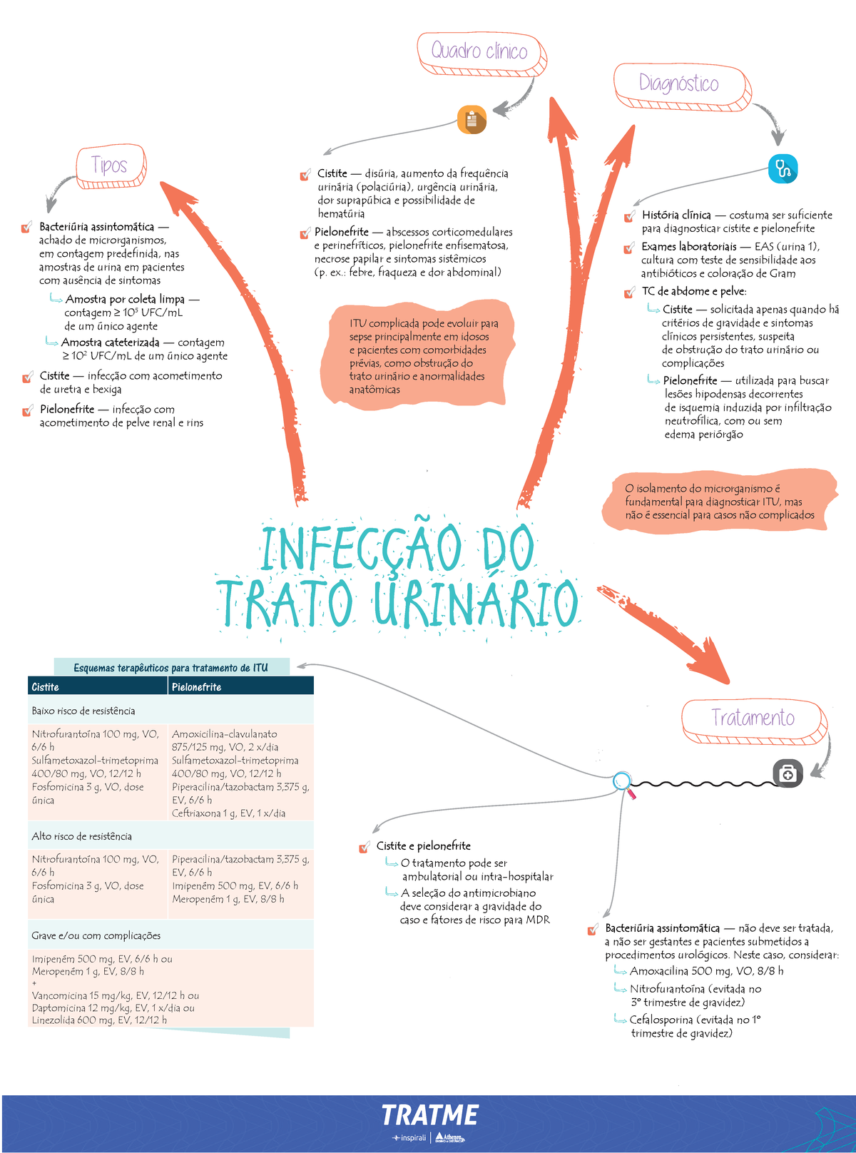 Mapa mental - Infecção do trato urinário - INFECÇÃO DO TRATO URINÁRIO ...