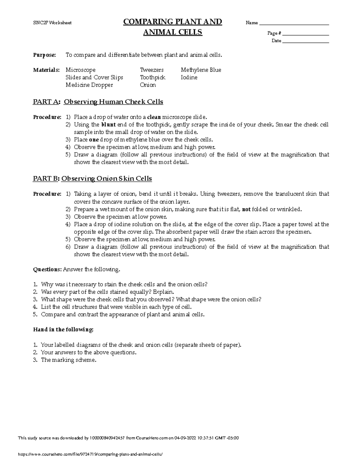 comparing-plant-and-animal-cells-snc2p-worksheet-comparing-plant-and