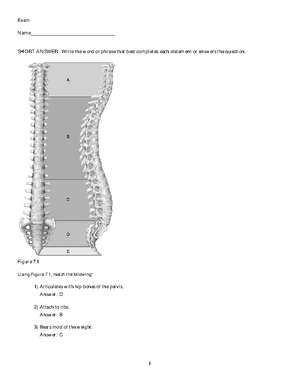 Ch 05 Test Bank - Practice Material - Human Anatomy & Physiology, 10e ...