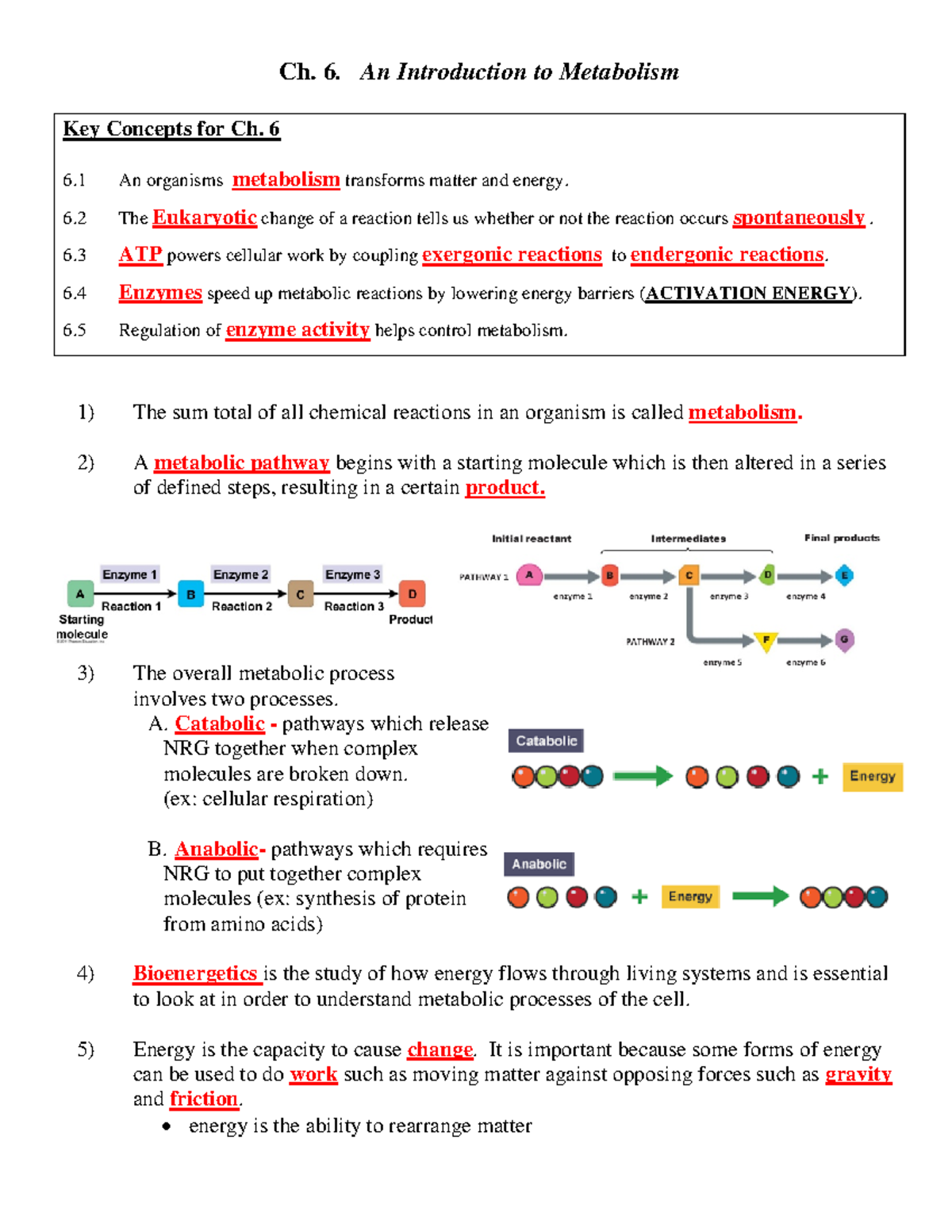 Ch 06 KEY An Introduction To Metabolism 2016 Ch 6 An ch-06-key-an-introduction-to-metabolism-2016-ch-6-an