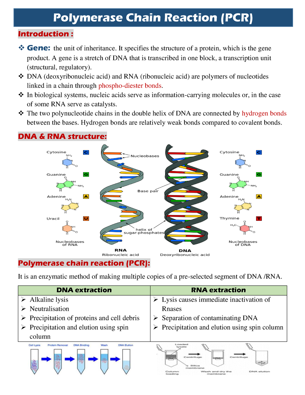 Polymerase Chain Reaction (PCR) - Introduction : Gene: The Unit Of ...