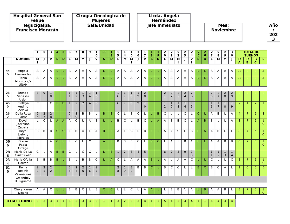 Rol de Turno Molde Hospital General San Felipe Cirugía Oncológica de